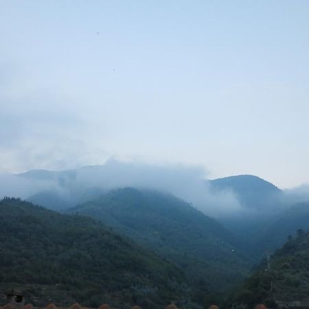 Rustic Liguria Villa Ceriana Ngoại thất bức ảnh