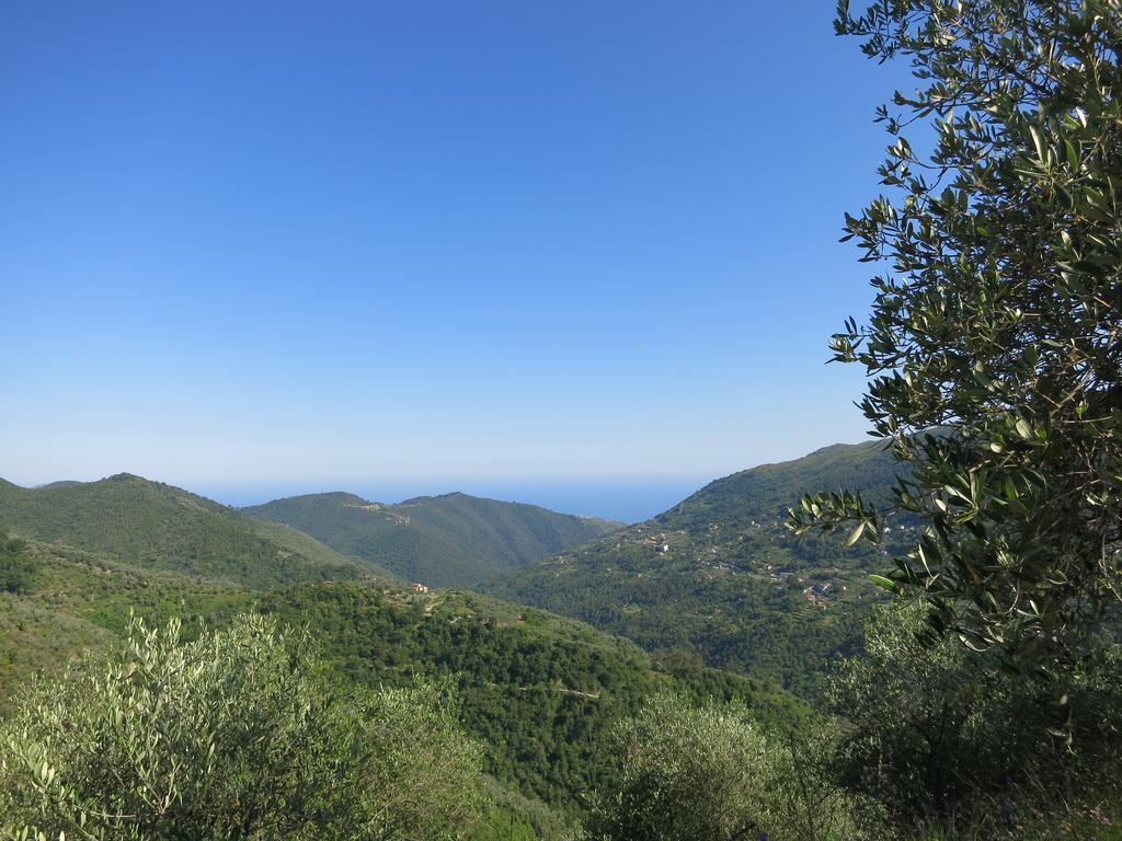 Rustic Liguria Villa Ceriana Ngoại thất bức ảnh